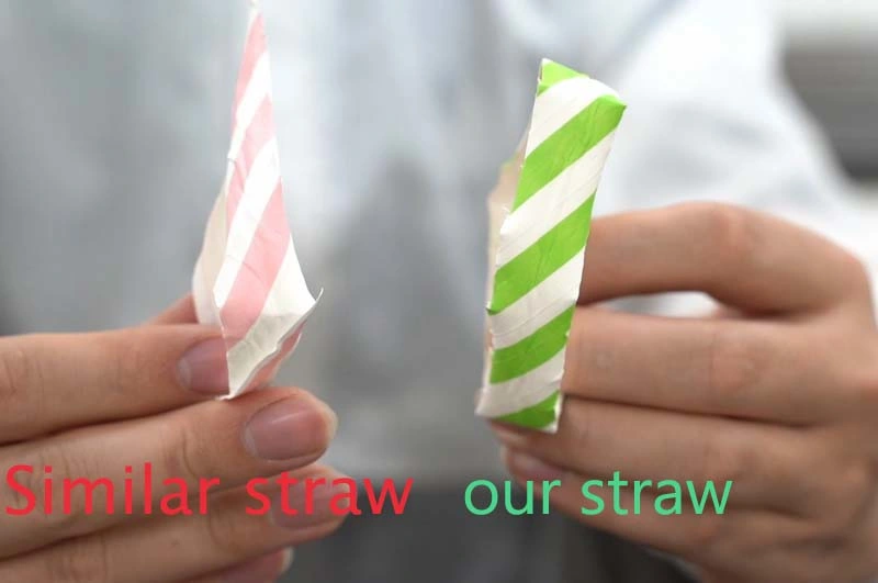 Eco Friendly Diner Bar Party Striped Paper Drinks Straws